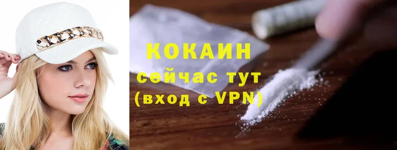 где купить наркотик  Нефтекумск  Кокаин FishScale 